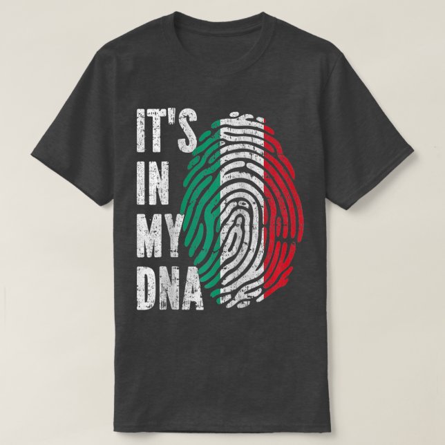 Camiseta ESTÁ NO MEU DNA Itália Sinalizador italiano Raglan (Frente do Design)