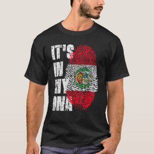 Camiseta Está no meu Dna Peruano Bandeira do Peru