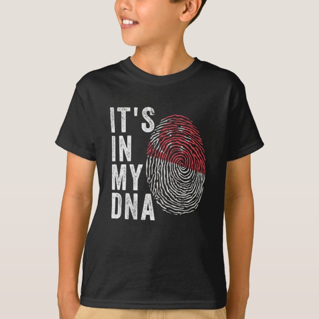 Camiseta Está no meu DNA - Sinalizador de Singapura (Frente)