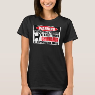 Camiseta Esta Propriedade Está Protegida Por Um Chi Altamen