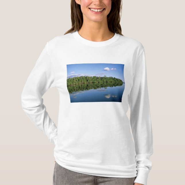 Camiseta Estado do Mato Grosso, Amazônia, Brasil. Florestad (Frente)