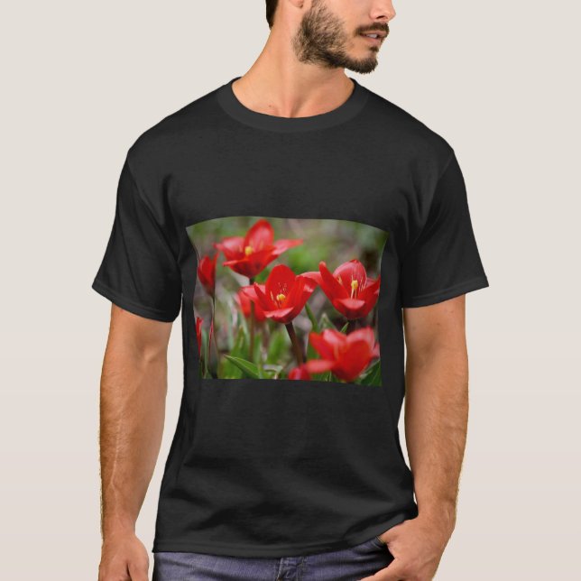 Camiseta Estampa Tulipa Fusilier em Flor (Frente)