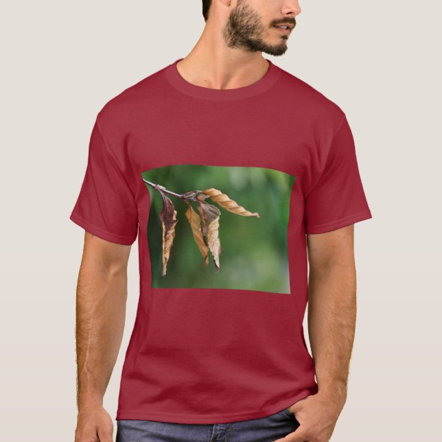 Camiseta Estampada com Folhas Inspiradas na Nature (Frente)