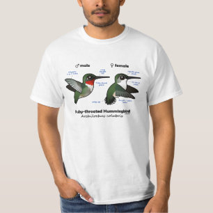 Camiseta estatísticas Rubi-throated do colibri