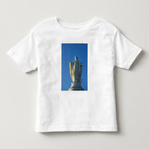 Camiseta estátua de 118 pés da Virgem Maria em San