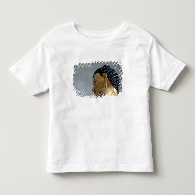 Camiseta estátua de Buddha Dordenma (Frente)