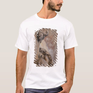 Camiseta Estátua de São João Batista
