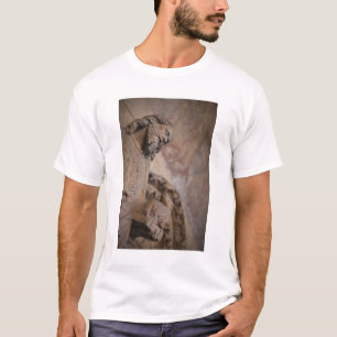 Camiseta Estátua de São João Batista