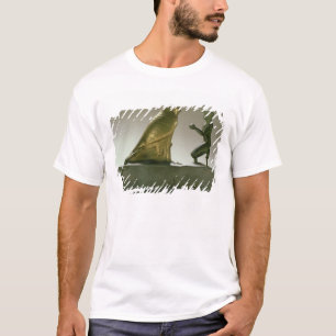 Camiseta Estátua do rei Taharqa que adora o falcão-deus