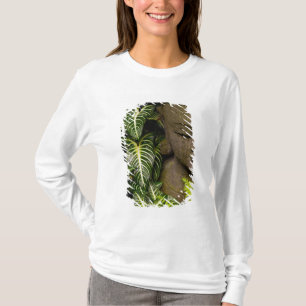 Camiseta Estátua em uma informações sobre localização 