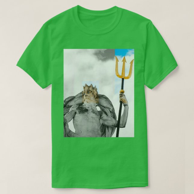 Camiseta Estátua grega Zeus (Frente do Design)