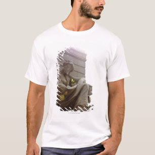 Camiseta Estátua indiana americana do Museu Nacional
