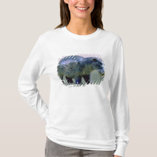 Camiseta Estatueta de um hippopotamus
