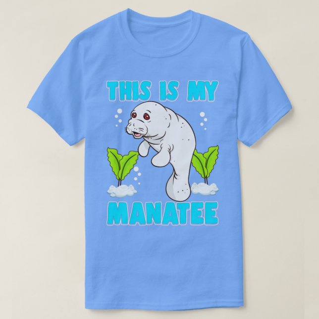 Camiseta Este É O Meu Armário (Frente do Design)