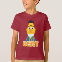 Estilo Clássico Bert