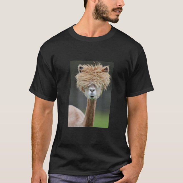 Camiseta Estilo Rizz (Frente)