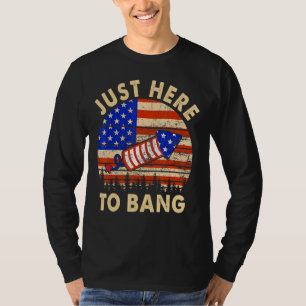 Camiseta Estou Aqui Só Para Estourar Fogos de Artifício 4 d