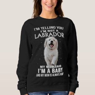 Camiseta Estou Dizendo Que Não Sou Um Cão De Labrador.