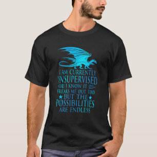 Camiseta Estou Sem Supervisão. Conheço O Dragão Engraçado S