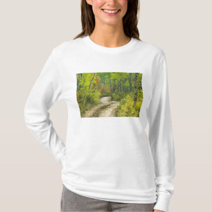 Camiseta Estrada com cores de outono e álamos em Kebler