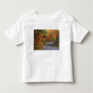 Camiseta Estrada das árvores de outono no Parque Estadual d