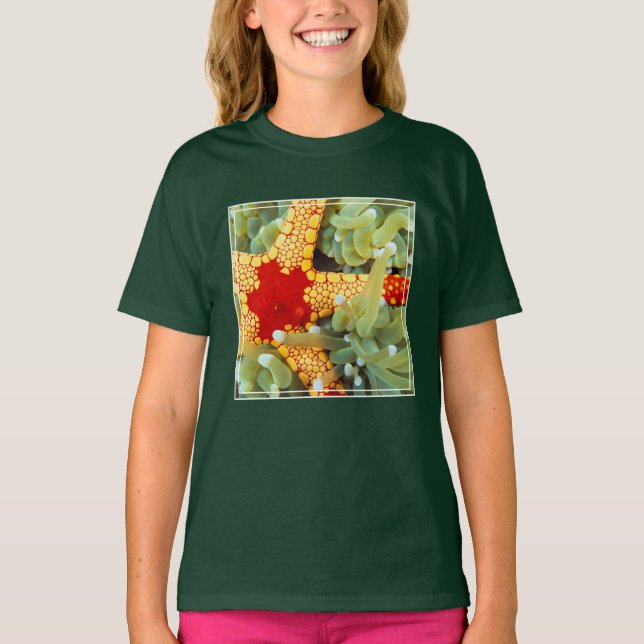 Camiseta Estrela-do-mar Amarela e Vermelha (Frente)