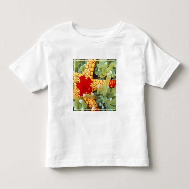 Camiseta Estrela-do-mar Amarela e Vermelha (Frente)