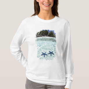 Camiseta Estrelas-do-mar, Ilhas Rochosas, Palau 2