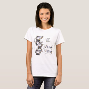 Camiseta Estrutura do DNA Diagrama das Bases do Ácido Desox