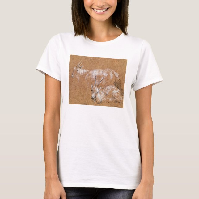 Camiseta Estudo de Caprinos (desenho) (Frente)