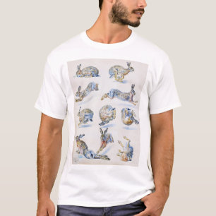 Camiseta Estudos sobre a lebre selvagem (coelho), Bruno Lil