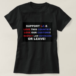 Camiseta Eu Amo a América