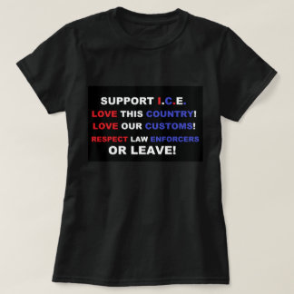Camiseta Eu Amo a América