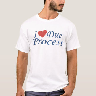 Camiseta Eu Amo o Devido Processo