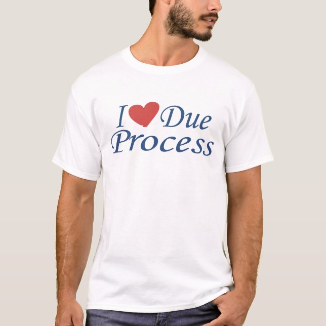 Camiseta Eu Amo o Devido Processo (Frente)