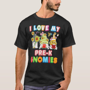 Camiseta Eu Amo Os Meus Nômades Pré-K Jovens Professores De
