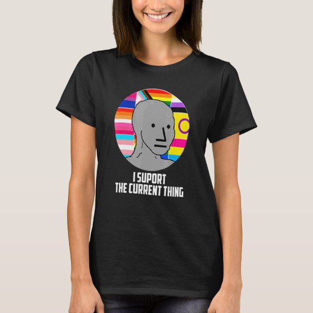 Camiseta Eu Apoio O Meme Idahobit Lgbt Sup (Frente)