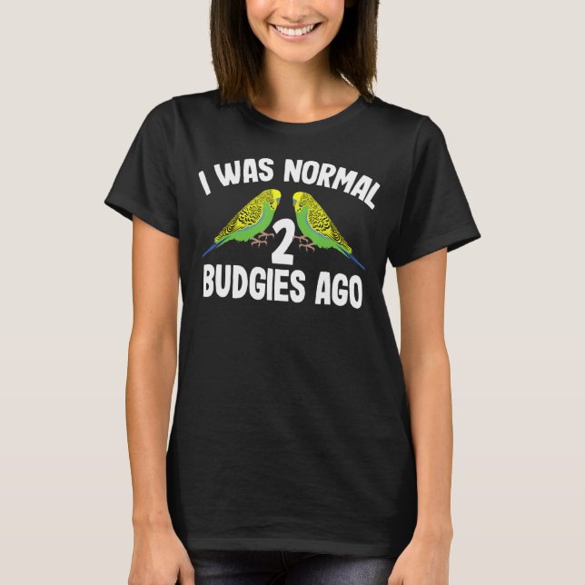 Camiseta Eu Era Normal Dois Orçamentos Ago Bons Mulheres Bu (Frente)