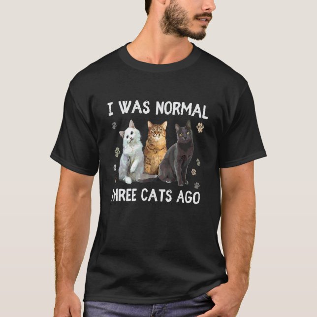Camiseta Eu Era Normal Três Gatos Atrás  Gato (Frente)