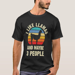 Camiseta Eu Gosto De Lhamas E Talvez 3 Pessoas Engraçadas V