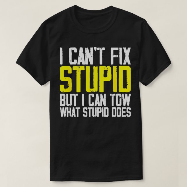 Camiseta Eu Não Consigo Arrumar O Estúpido, Mas Eu Posso Ar (Frente do Design)