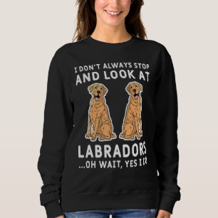 Camiseta Eu nem sempre paro e olho para os Labradores