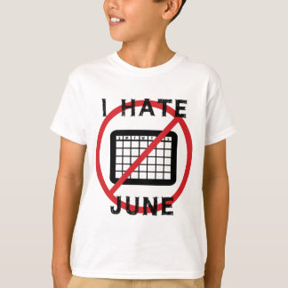Camiseta Eu Odeio Junho
