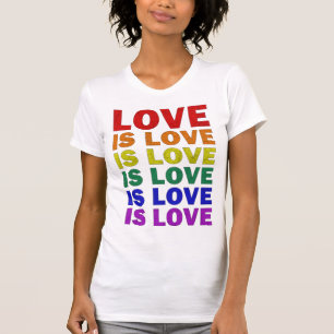 Camiseta Eu Prometo Ensinar Orgulho LGBT-Q Ao Amor Orgulho