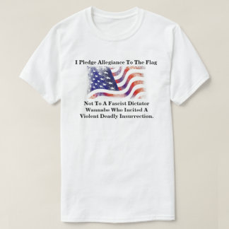 Camiseta Eu Prometo Lealdade À Bandeira Não...............