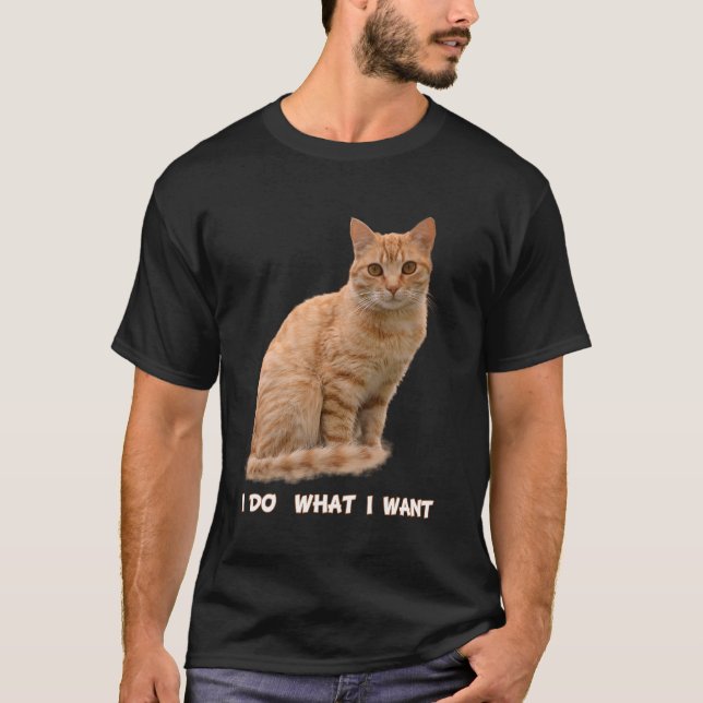 Camiseta Eu Quero Gato De Tabby Laranja (Frente)