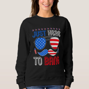 Camiseta Eu Só Estou Aqui Para Pegar A Bandeira Dos Eua Ócu