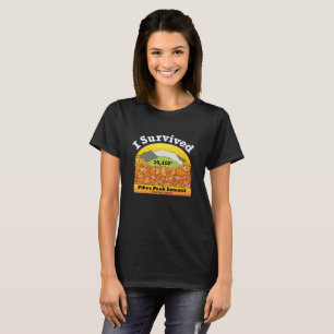 Camiseta Eu sobrevivi à cimeira do pico dos piques