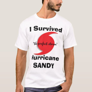 Camiseta Eu sobrevivi a SANDY