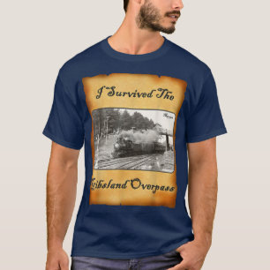 Camiseta Eu Sobrevivi Ao Sobrevoo De Gibsland